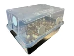 Complete Large 66Q Monotub Bulk Spawn Growing & Casing Kit - Image 3