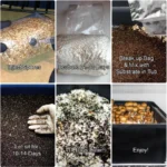 Complete Large 66Q Monotub Bulk Spawn Growing & Casing Kit - Image 4