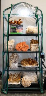 The Essentials Substrate Ecosphere Package 3.0 - Image 6