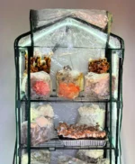 The Mushroom Ecosphere 3.0 - Image 10