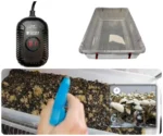 Complete XL Specialty Grass Lover's Bulk Spawn Growing & Casing Kit - Image 3
